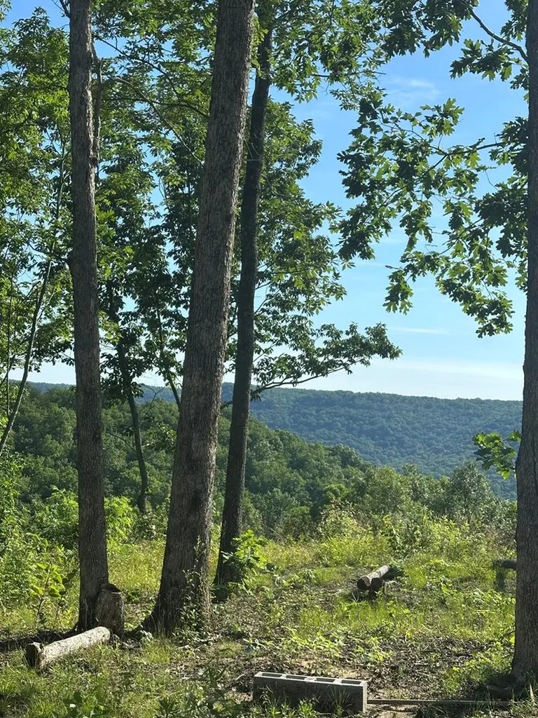 Lot 2 Buckeye Lane Wilder TN 38589