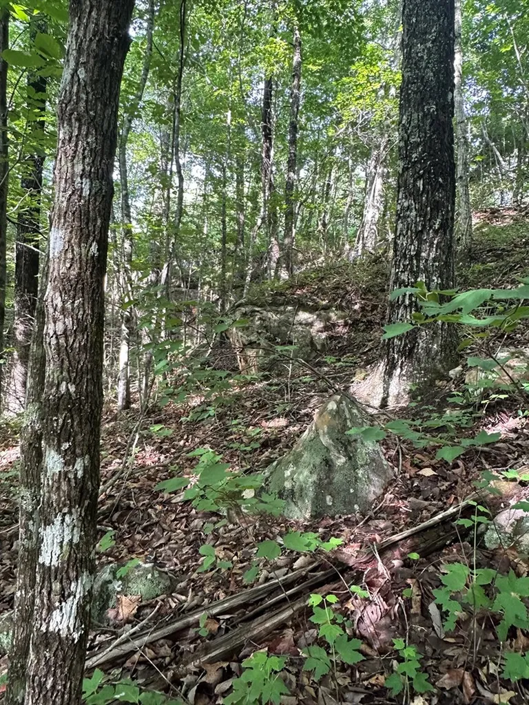 Lot 2 Buckeye Lane Wilder TN 38589