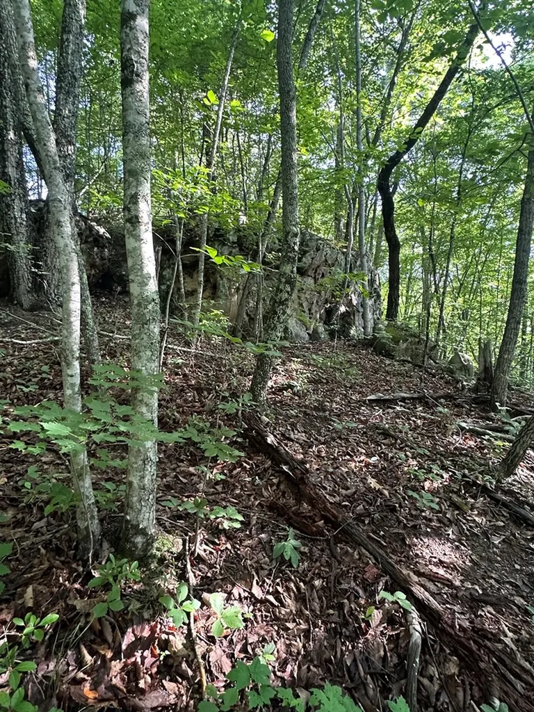 Lot 2 Buckeye Lane Wilder TN 38589