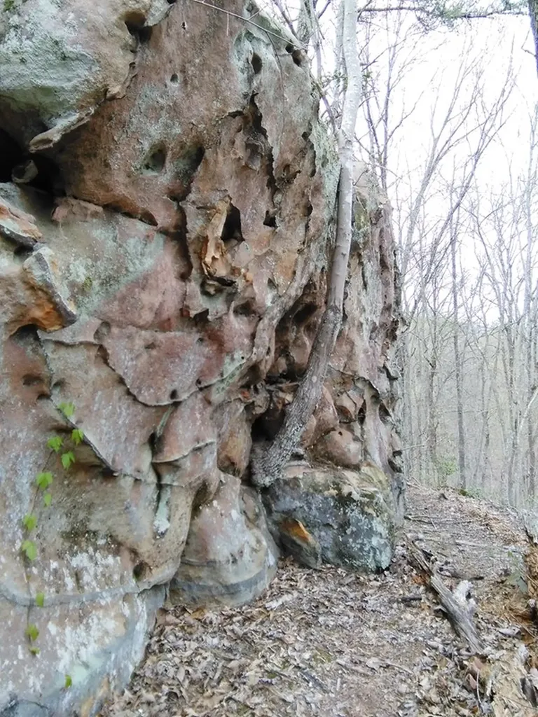 Lot 2 Buckeye Lane Wilder TN 38589