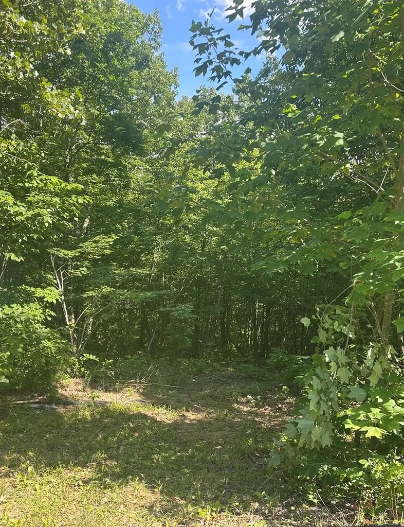 Lot 2 Buckeye Lane Wilder TN 38589