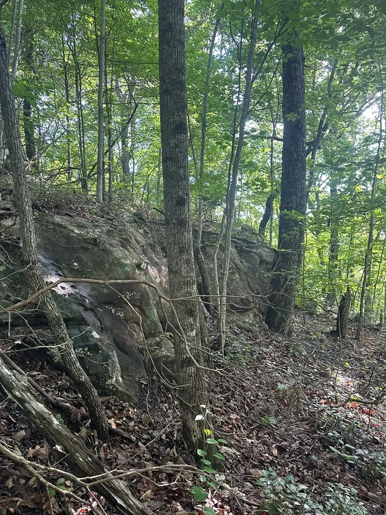 Lot 2 Buckeye Lane Wilder TN 38589