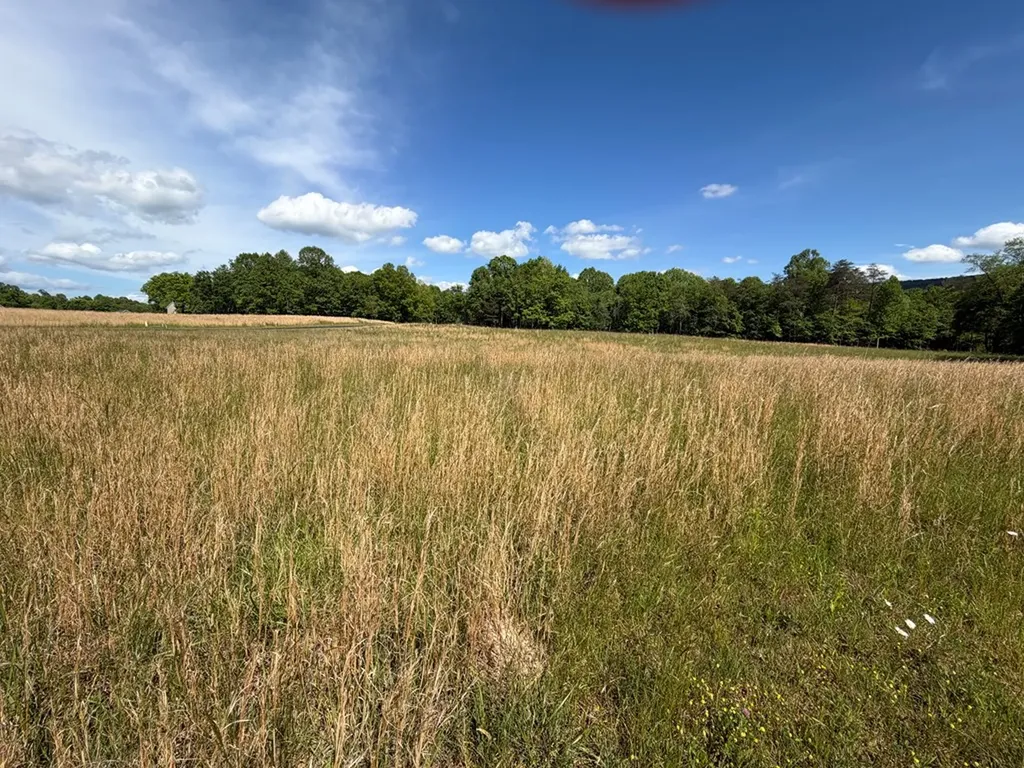 L 78, 79 Marie Lane Crossville TN 38555