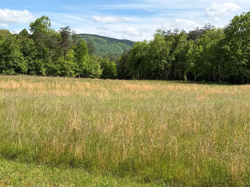 L 78, 79 Marie Lane Crossville TN 38555