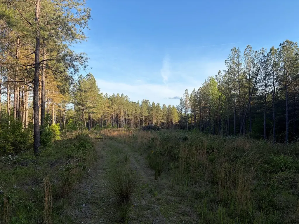 Lot 68 Black Bear Lane Sunbright TN 37872