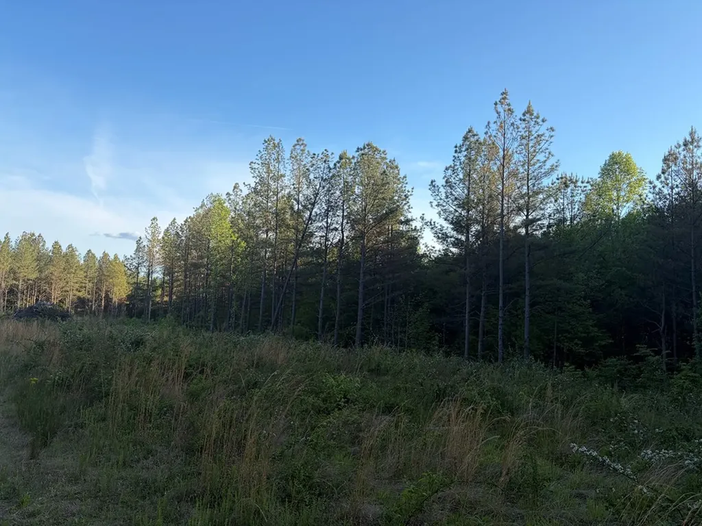 Lot 68 Black Bear Lane Sunbright TN 37872