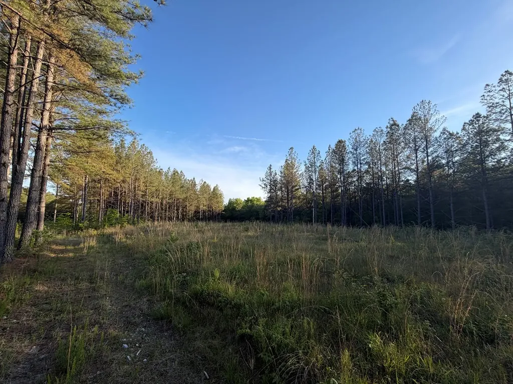 Lot 68 Black Bear Lane Sunbright TN 37872
