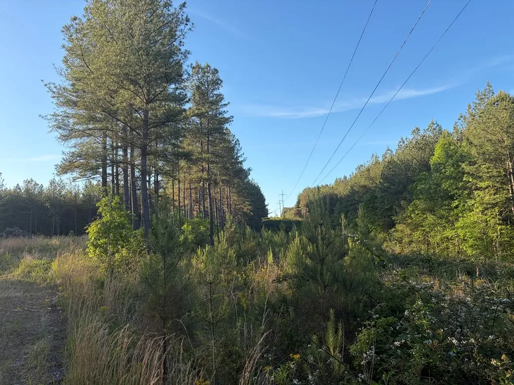 Lot 68 Black Bear Lane Sunbright TN 37872
