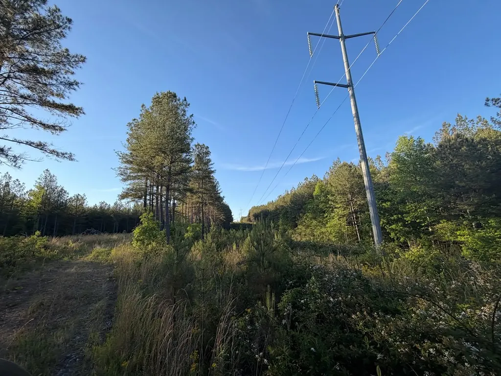 Lot 68 Black Bear Lane Sunbright TN 37872