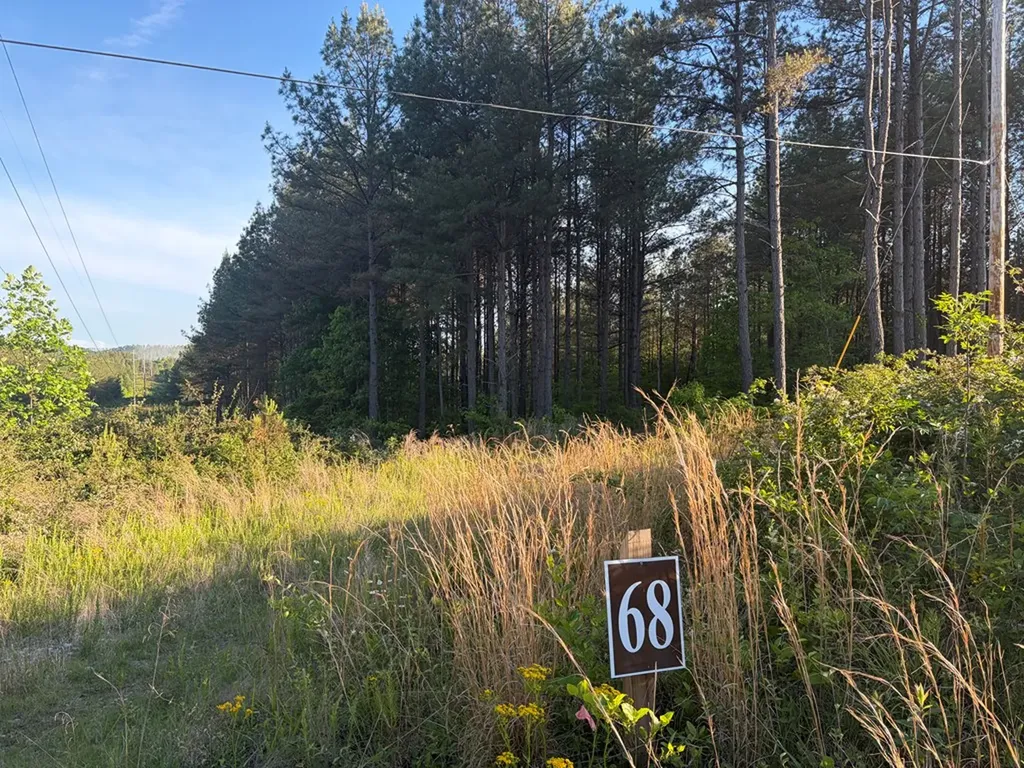 Lot 68 Black Bear Lane Sunbright TN 37872