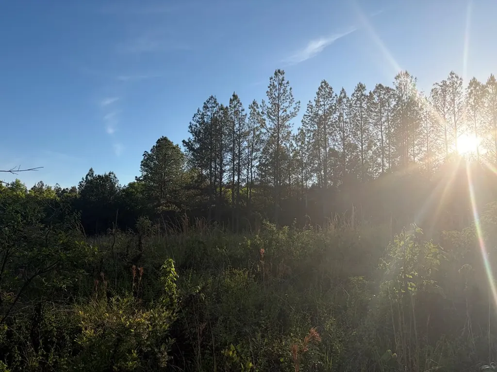 Lot 68 Black Bear Lane Sunbright TN 37872