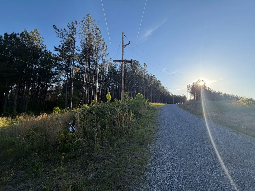 Lot 68 Black Bear Lane Sunbright TN 37872