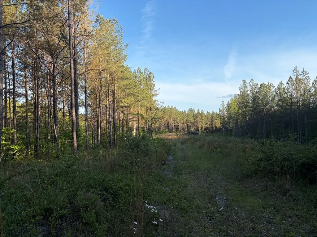 Lot 68 Black Bear Lane Sunbright TN 37872