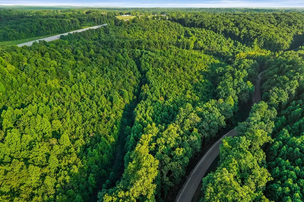 71.54 Ac Highway 111 Spencer TN 38587