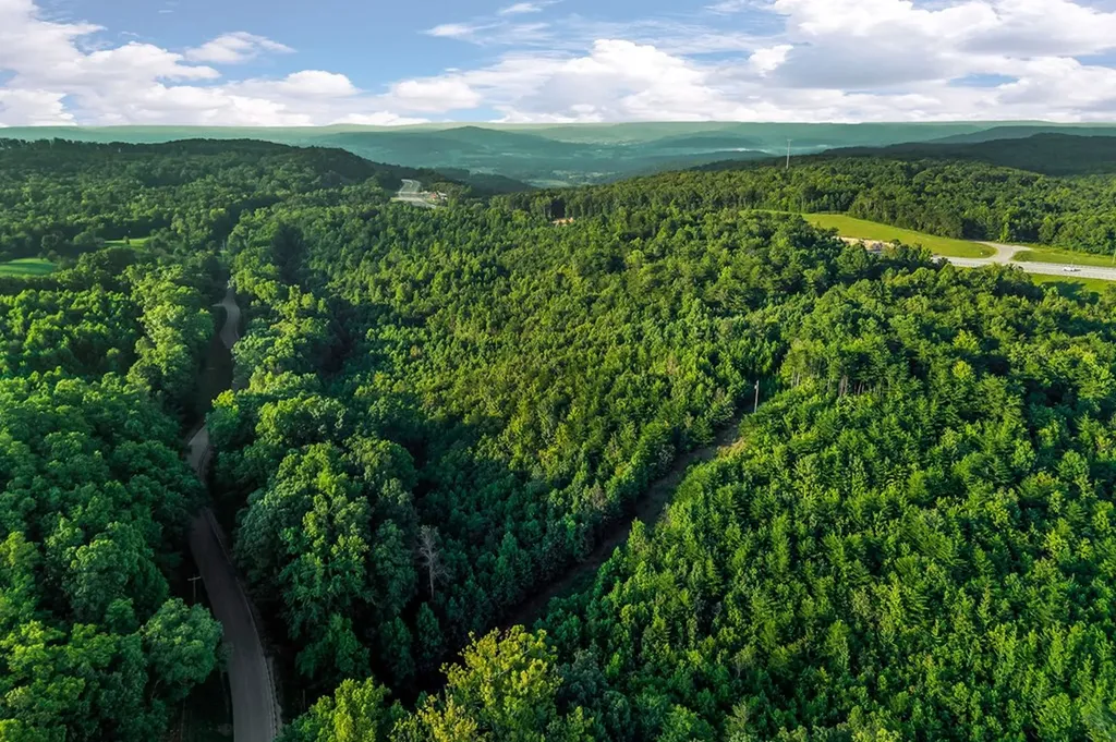 71.54 Ac Highway 111 Spencer TN 38587