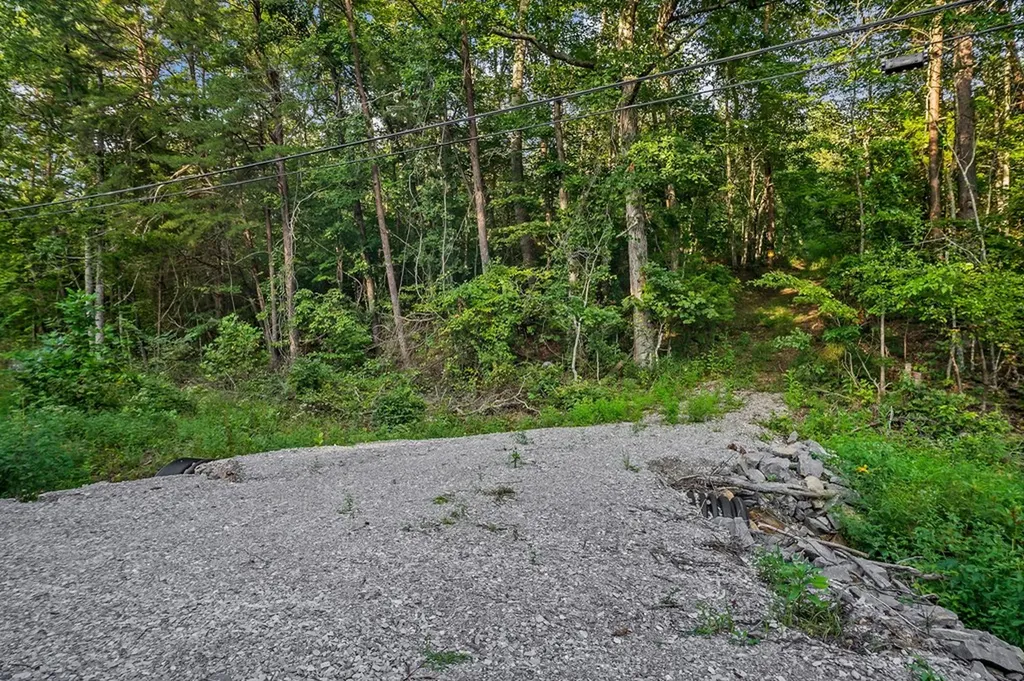 71.54 Ac Highway 111 Spencer TN 38587