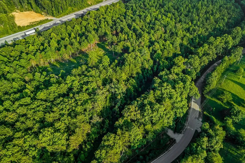 71.54 Ac Highway 111 Spencer TN 38587