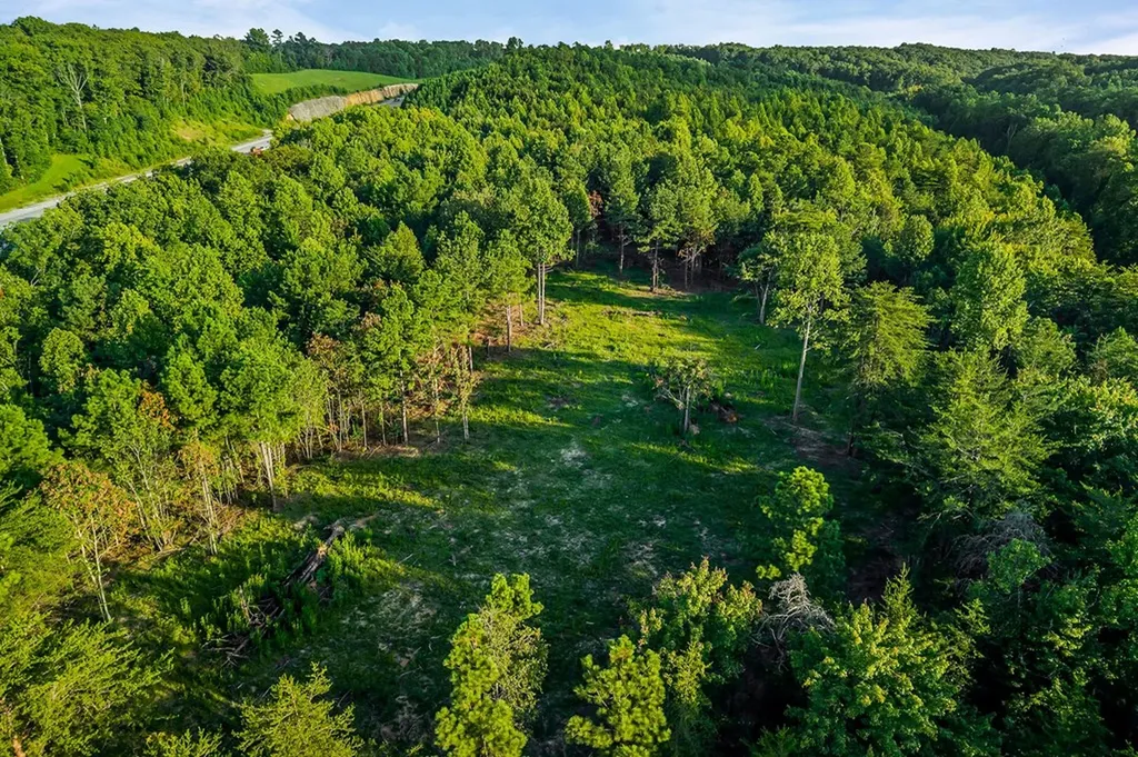 71.54 Ac Highway 111 Spencer TN 38587