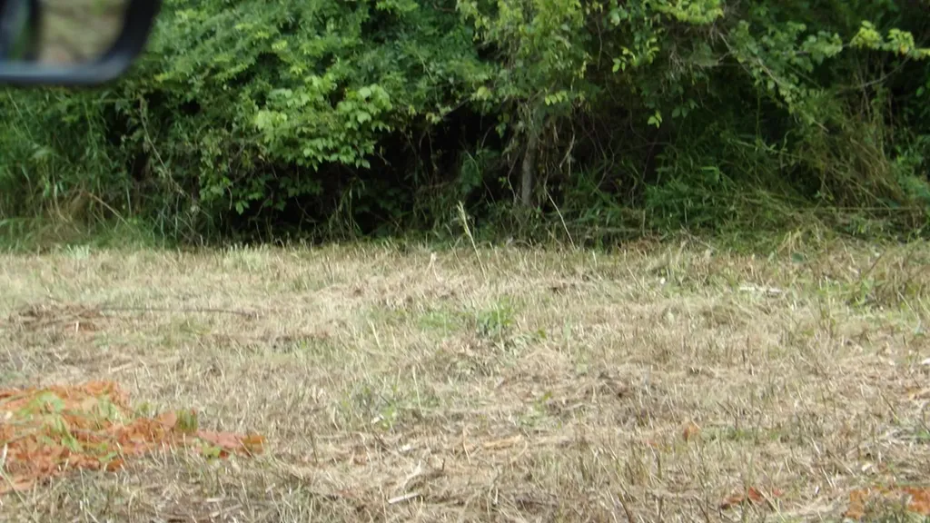 5.6AC Lonnie Reecer Road Celina TN 38551