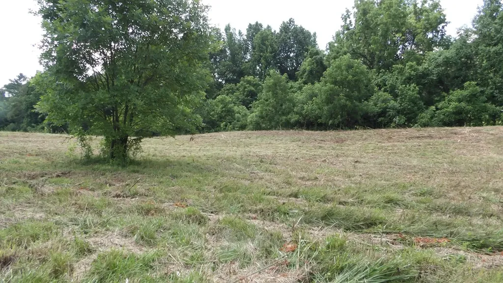 5.6AC Lonnie Reecer Road Celina TN 38551