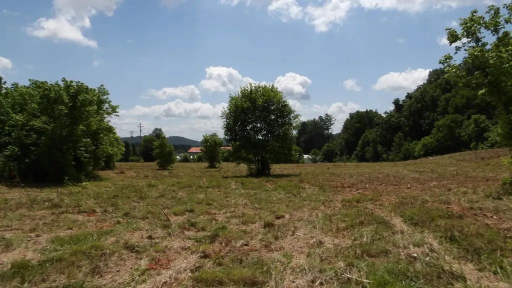 5.6AC Lonnie Reecer Road Celina TN 38551