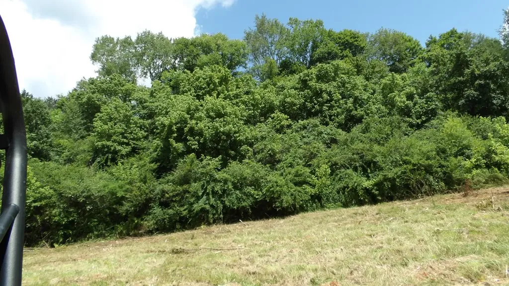 5.6AC Lonnie Reecer Road Celina TN 38551