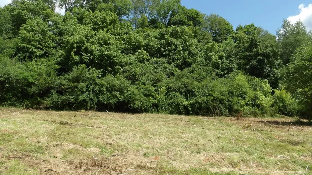 5.6AC Lonnie Reecer Road Celina TN 38551