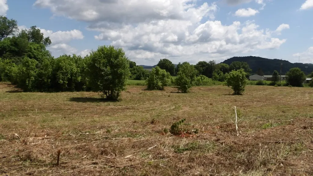 5.6AC Lonnie Reecer Road Celina TN 38551