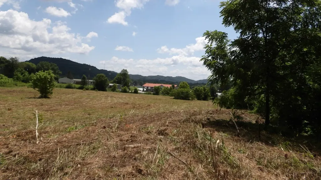5.6AC Lonnie Reecer Road Celina TN 38551