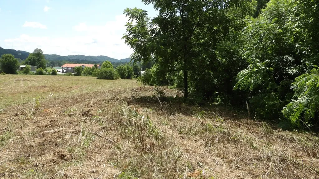 5.6AC Lonnie Reecer Road Celina TN 38551