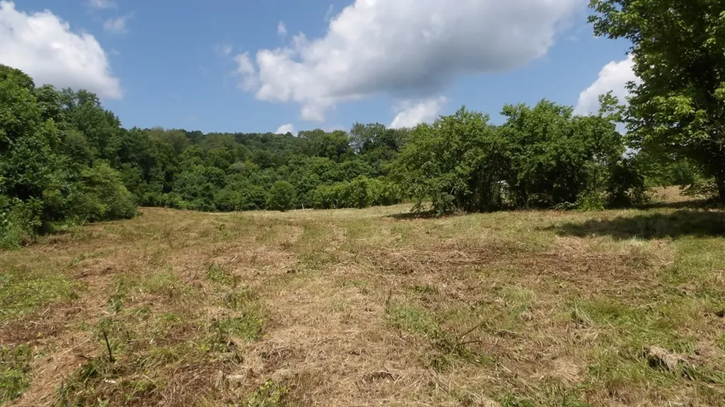 5.6AC Lonnie Reecer Road Celina TN 38551