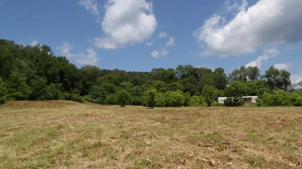 5.6AC Lonnie Reecer Road Celina TN 38551