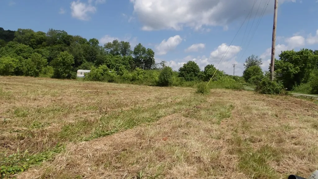 5.6AC Lonnie Reecer Road Celina TN 38551