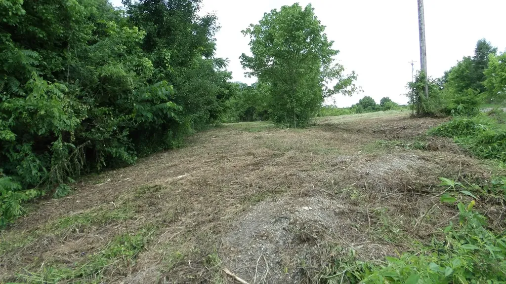 5.6AC Lonnie Reecer Road Celina TN 38551