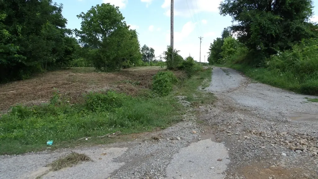 5.6AC Lonnie Reecer Road Celina TN 38551