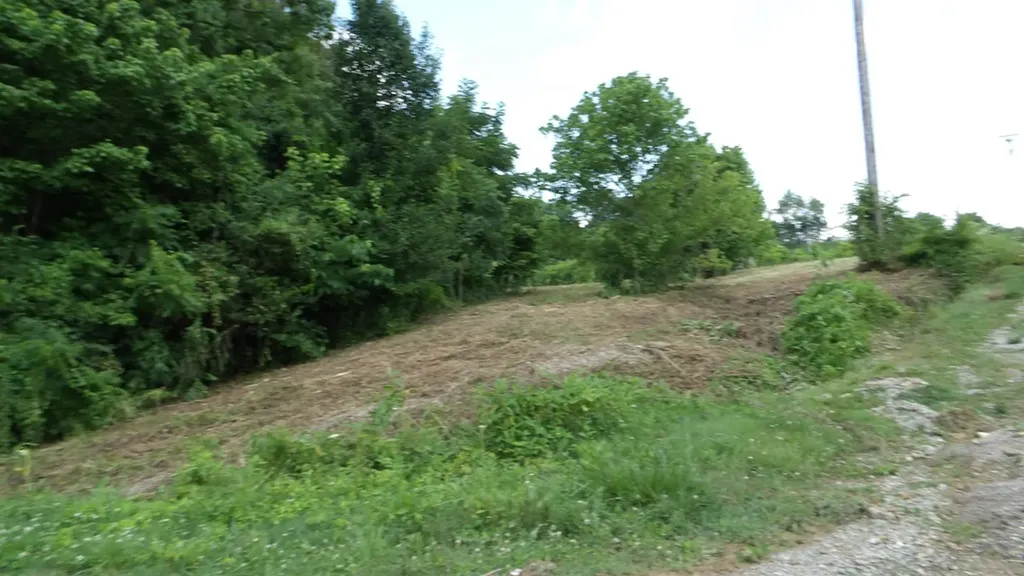 5.6AC Lonnie Reecer Road Celina TN 38551