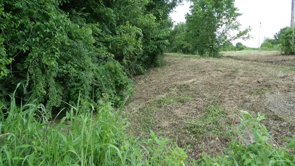 5.6AC Lonnie Reecer Road Celina TN 38551