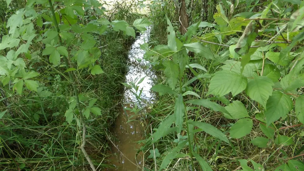 5.6AC Lonnie Reecer Road Celina TN 38551
