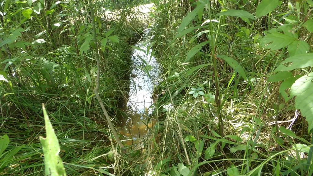 5.6AC Lonnie Reecer Road Celina TN 38551