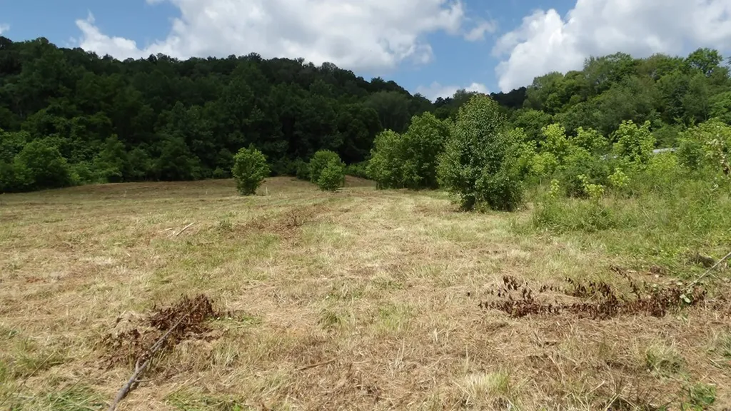 5.6AC Lonnie Reecer Road Celina TN 38551