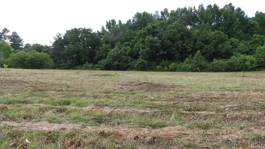 5.6AC Lonnie Reecer Road Celina TN 38551