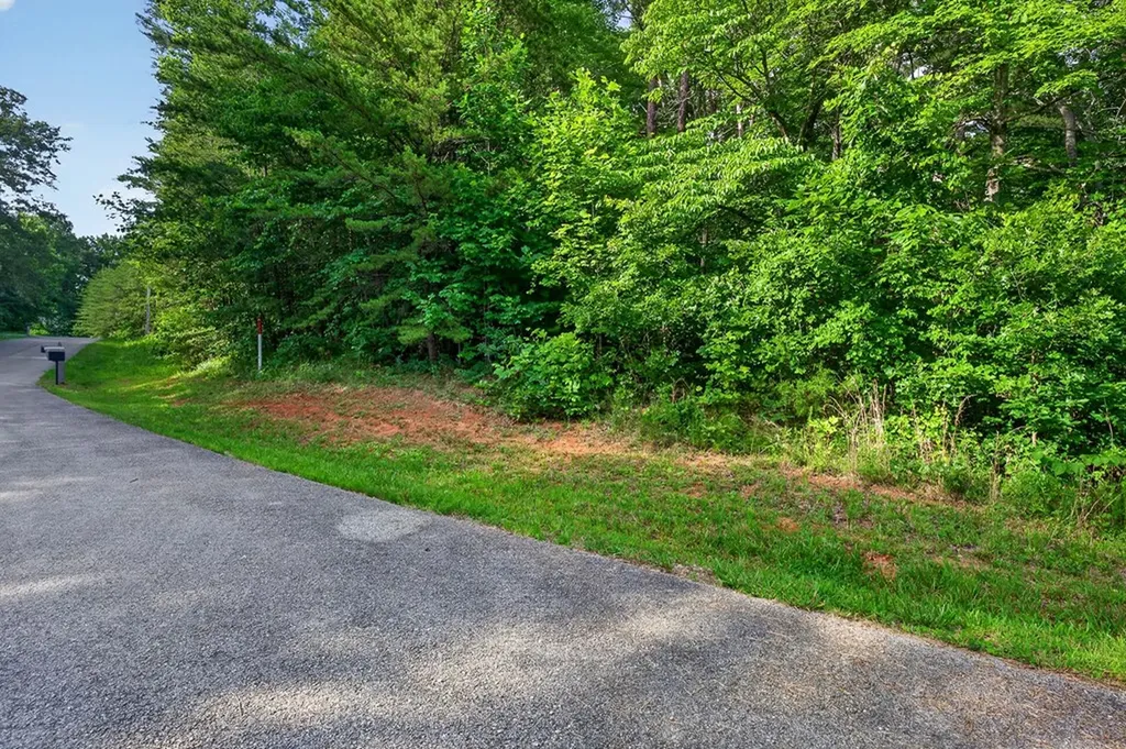 5.17 Ac Simmons Cem Road Quebeck TN 38579