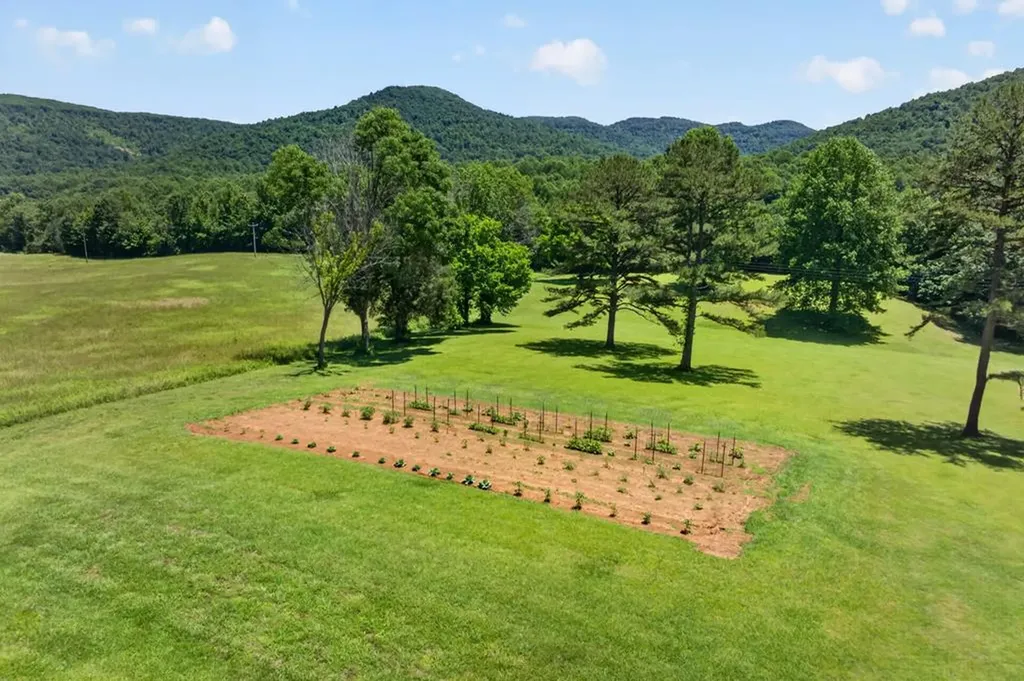 1062 Wilder Highway Alpine TN 38543