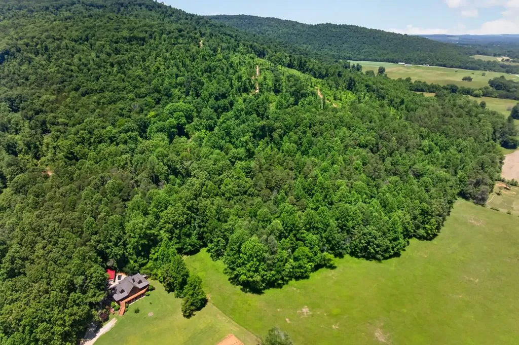 1062 Wilder Highway Alpine TN 38543