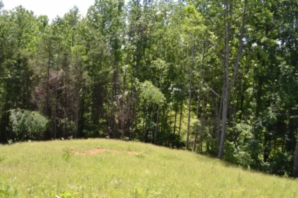 2390 Pea Ridge Fire Tower Road Celina TN 38551