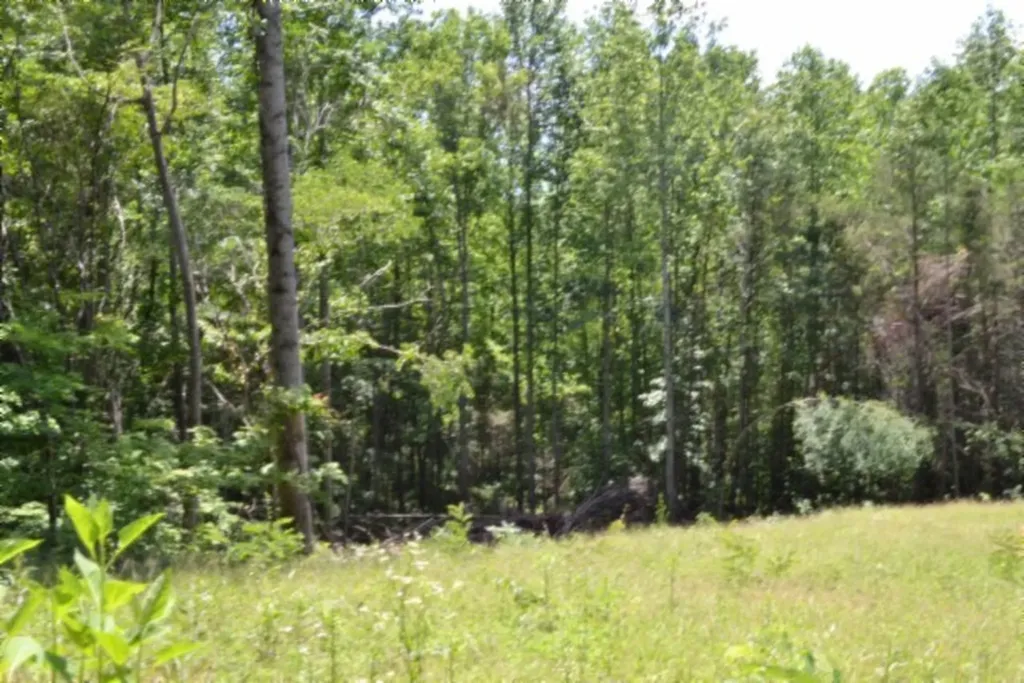2390 Pea Ridge Fire Tower Road Celina TN 38551