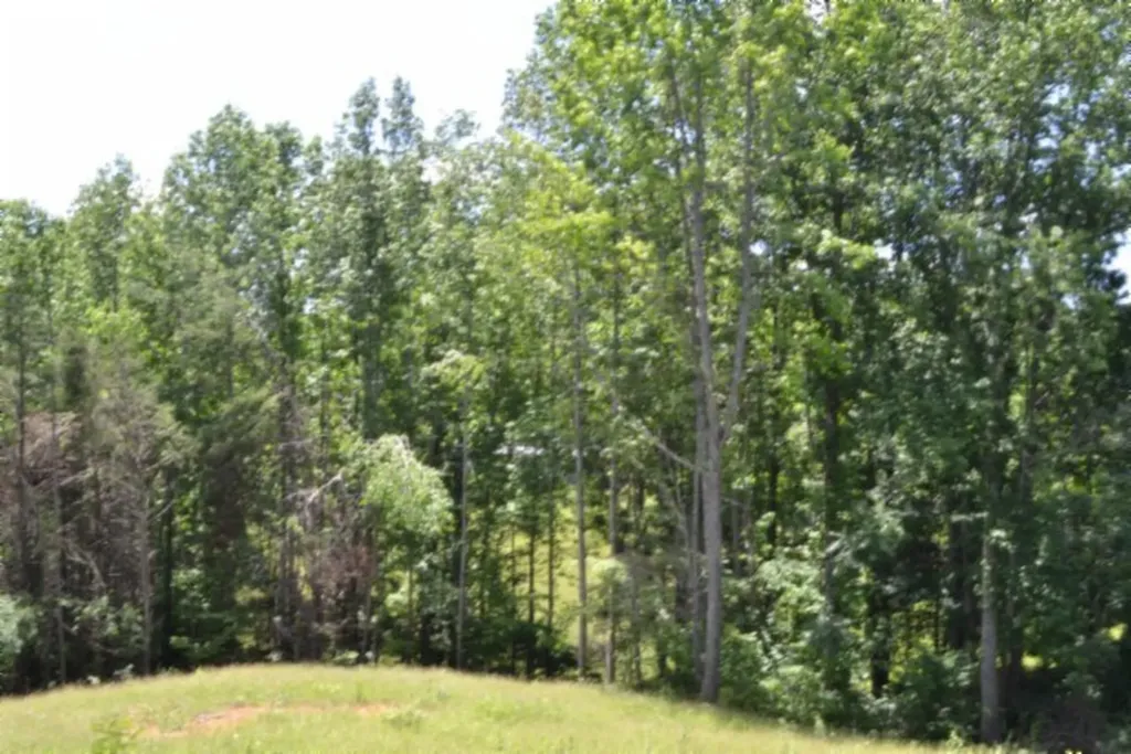 2390 Pea Ridge Fire Tower Road Celina TN 38551