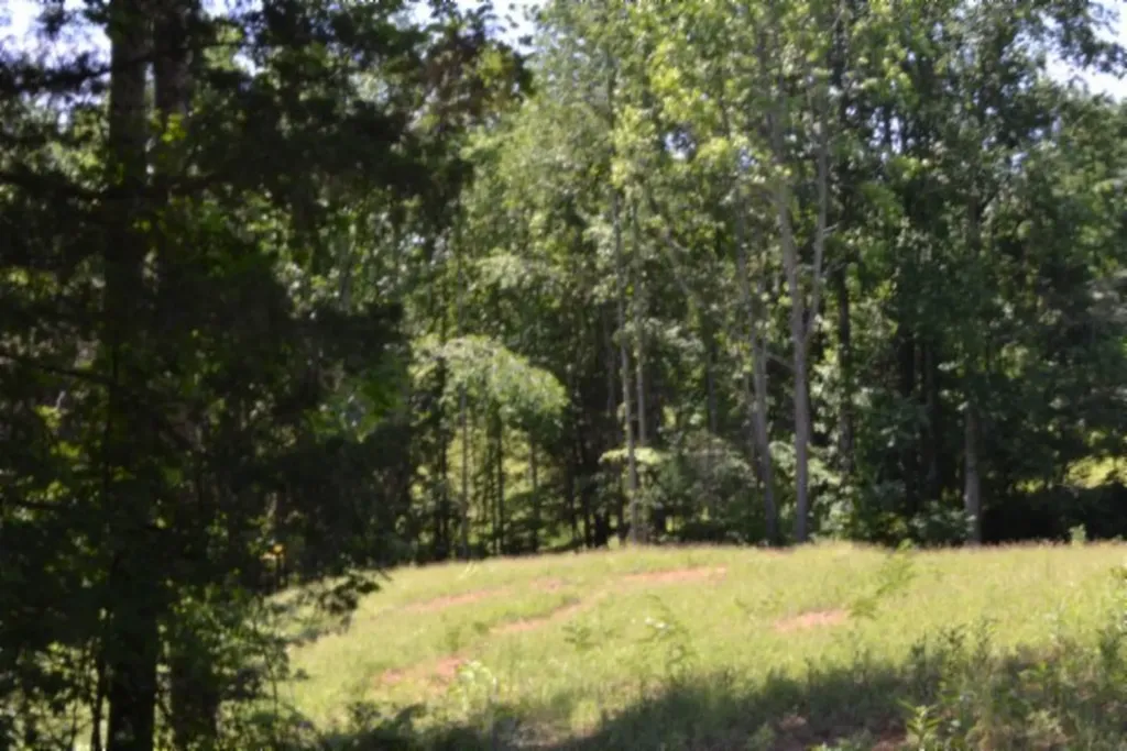 2390 Pea Ridge Fire Tower Road Celina TN 38551