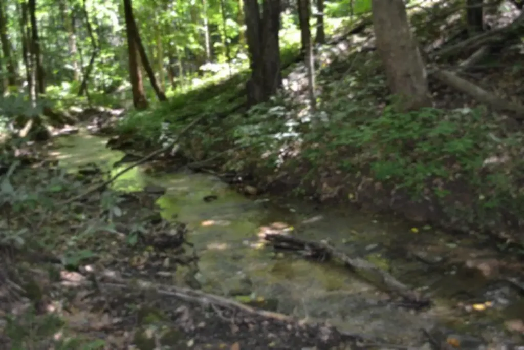 2390 Pea Ridge Fire Tower Road Celina TN 38551