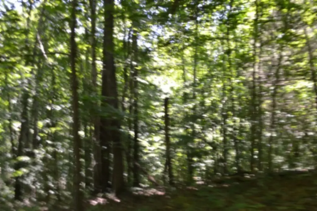 2390 Pea Ridge Fire Tower Road Celina TN 38551